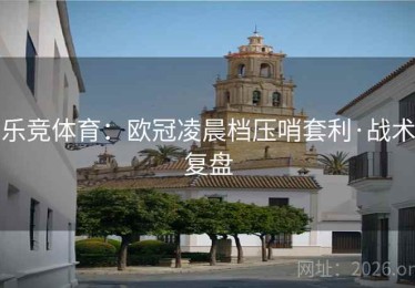 乐竞体育：欧冠凌晨档压哨套利·战术复盘