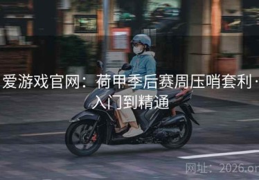 爱游戏官网：荷甲季后赛周压哨套利·入门到精通