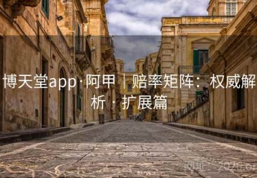 博天堂app·阿甲｜赔率矩阵：权威解析 · 扩展篇