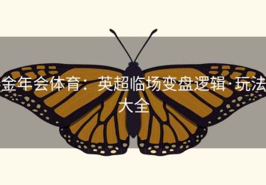 金年会体育：英超临场变盘逻辑·玩法大全