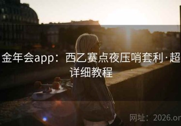 金年会app：西乙赛点夜压哨套利·超详细教程