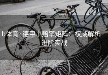 b体育·德甲｜赔率矩阵：权威解析 · 进阶实战